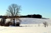 DSC_0865.JPG