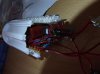 DSCF6848.jpg