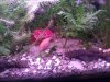 IMG_20120211_200016.jpg