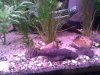 IMG_20120211_200214.jpg