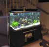 Aquarium Klein.jpg