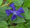 DSC01549 sp gg.jpg