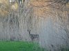 IMG_20170323_195141.JPG