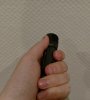 Hand.jpg