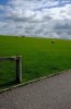 IMG_0222.JPG