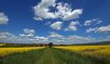 DSC03049 neu.jpg