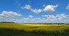 DSC03029 frt.jpg