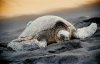 compIMG813.jpg