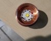 DSC00894.JPG