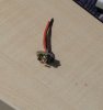 DSC00897.JPG