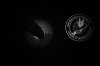 Fenix-LD12-spin.jpg