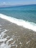 IMG_3505.jpg