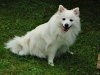 DSC03670-1.jpg