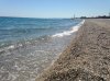 IMG_3633.jpg