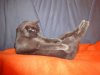 DSC01725.JPG
