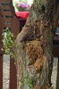 DSC03628 br.jpg