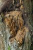 DSC03629 bn.jpg