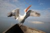 DSC_7071.jpg