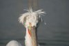 DSC_6846.jpg