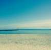 IMG_3717.jpg