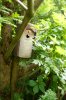DSCF8252.JPG