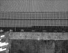 Qcomp_TPK22025.jpg