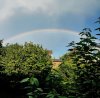 IMG_3939.jpg