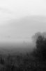 DSC_0458.jpeg