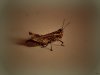 DSC05524.JPG