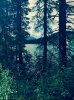 IMG_3949.jpg
