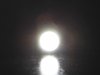 IMG_0350.JPG IMG_0350.JPG
