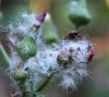 IMG_0571.jpg