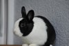 Sammy 20110508 (21)_w.jpg