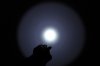 ZSC31c_06.JPG