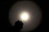 ZSC31c_07.JPG
