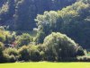 IMG_0133.jpg