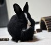 Duffy_20091223_027_w.jpg