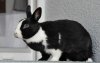 Nicki 20110508 (3)_w.jpg