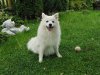 DSC03691-2.jpg