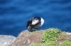 DSC_0108.jpg