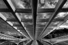 _TPC9804_5_6_7_8-sfex-2.jpg