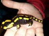 20171001_184811.jpg