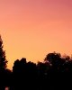IMG_4594.jpg