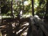 _A031404.JPG