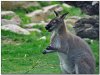 DSC_7356.b_TLF.JPG