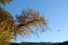 IMG_0881.jpg