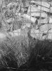19175843-6C9F-44E5-9DA2-B82AFC802C27.jpeg