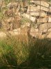 IMG_0069.JPG