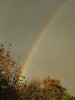 IMG_3142.JPG