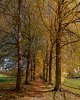 DSC04406 neu_neu.jpg